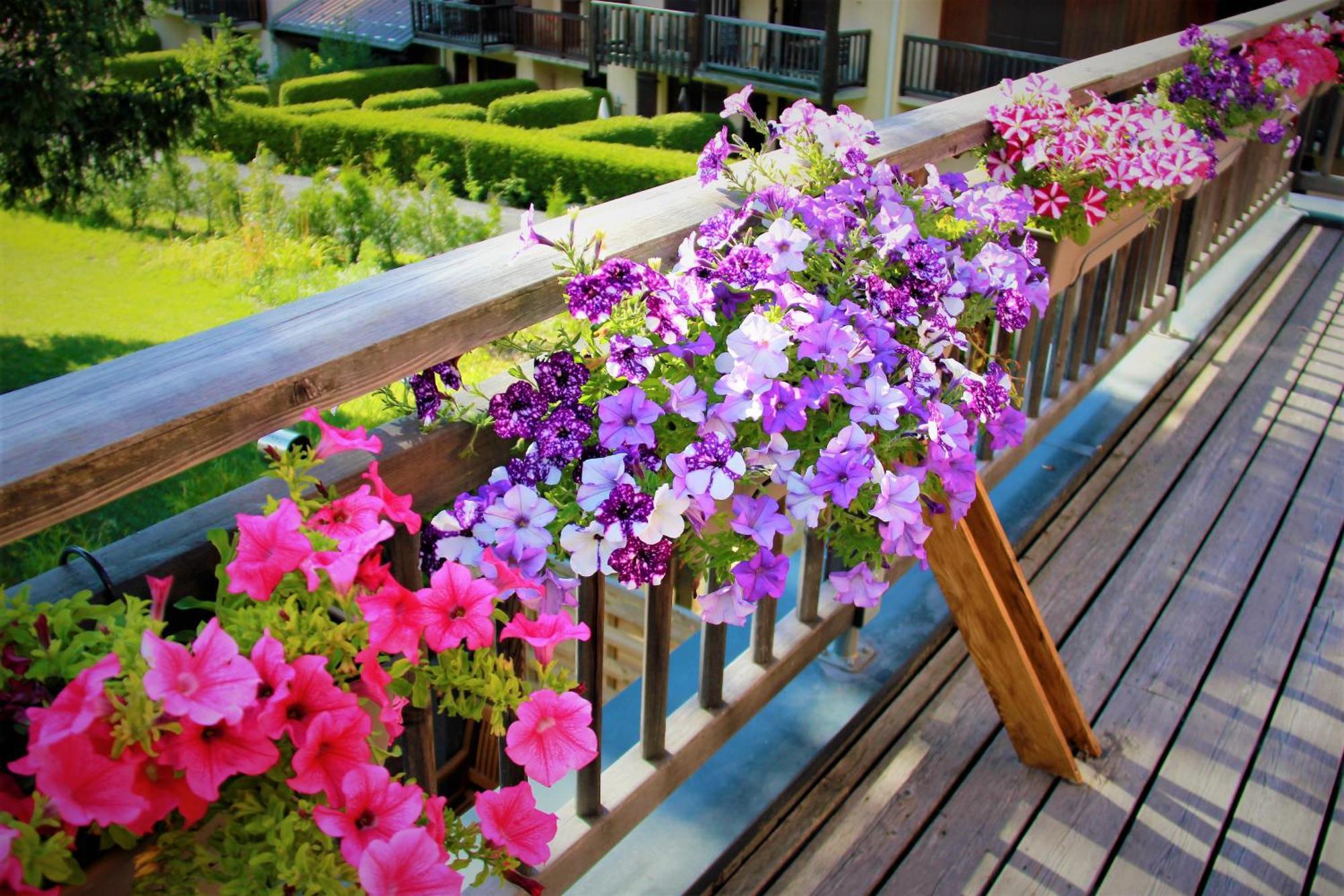 Chalet Amour Blanc Chamonix 레우쉬 외부 사진